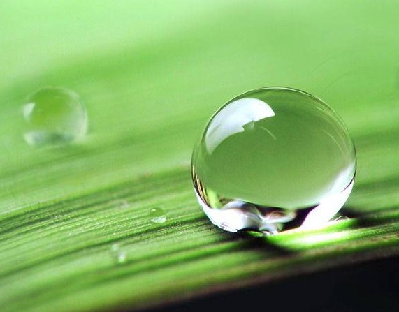 涂料潤濕劑<a href='http://www.e354.com/product/product-0001,0011,0020.shtml' class='keys' title='點擊查看關(guān)于分散劑的相關(guān)信息' target='_blank'>分散劑</a>