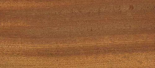 木器漆基材潤濕劑,木器漆潤濕劑,水性潤濕劑,底材潤濕劑,潤濕劑廠家,迪高潤濕劑,<a href='http://www.e354.com/product/product-0001,0011,0018.shtml' class='keys' title='點(diǎn)擊查看關(guān)于潤濕劑的相關(guān)信息' target='_blank'>潤濕劑</a>批發(fā)